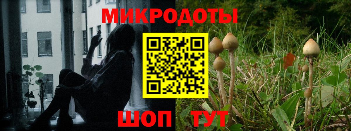 Псилоцибиновые грибы мухоморы Гуково